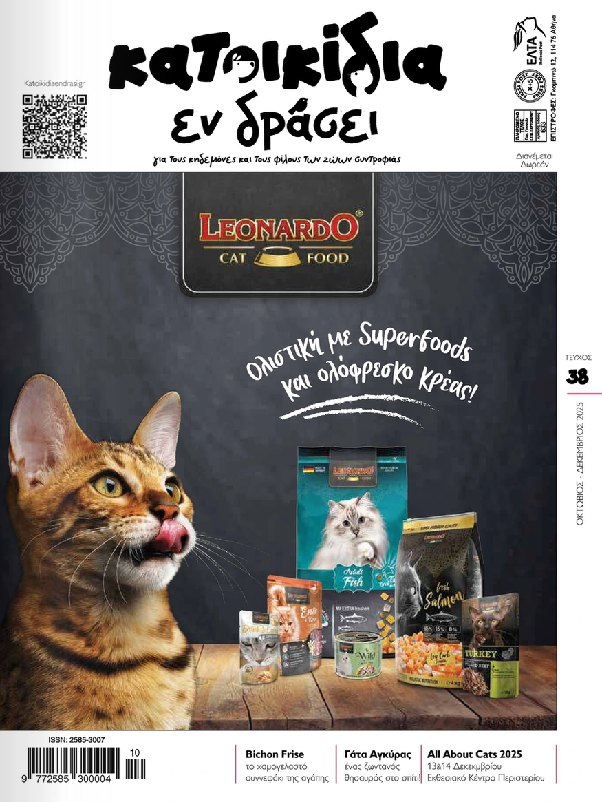 Ευθανασία – μια πράξη αγάπης και φροντίδας