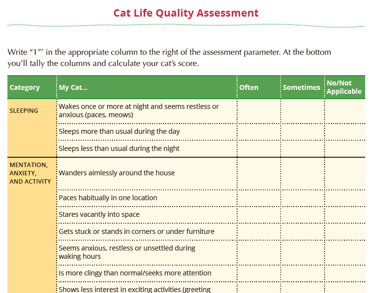 Cat Life Quality Assessment