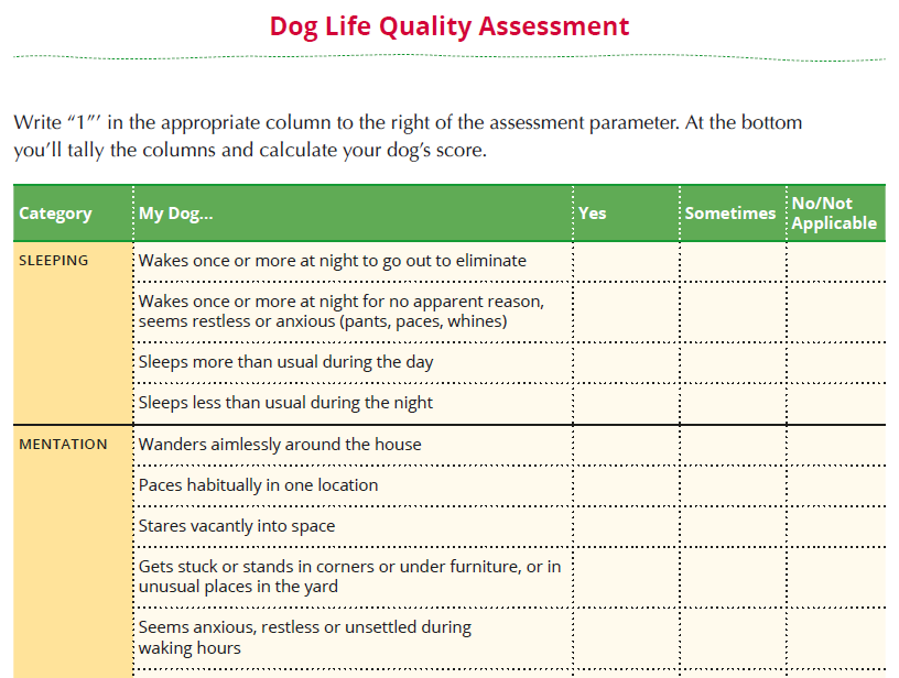 Dog Life Quality Assessment