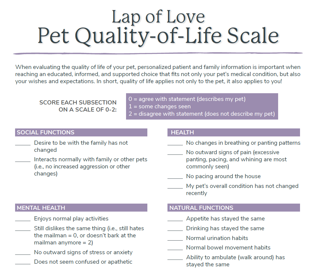 Lap of Love Pet Quality-of-Life Scale