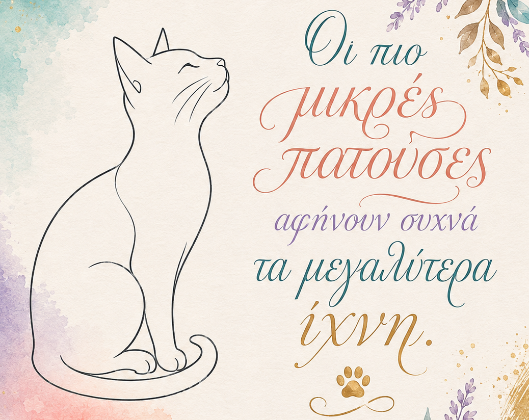 Κάρτες συμπόνιας με γάτα